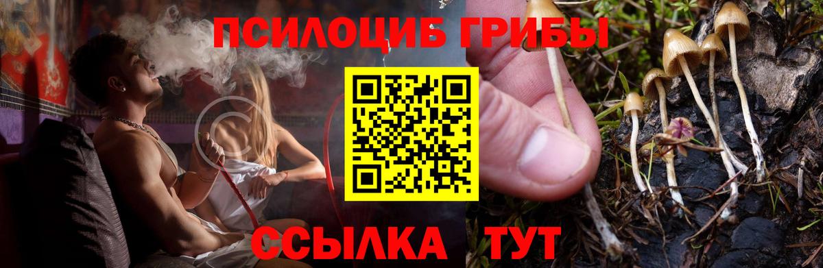 Псилоцибиновые грибы прущие грибы  Галлюциногенные грибы мицелий  Карачаевск  Вход с VPN 