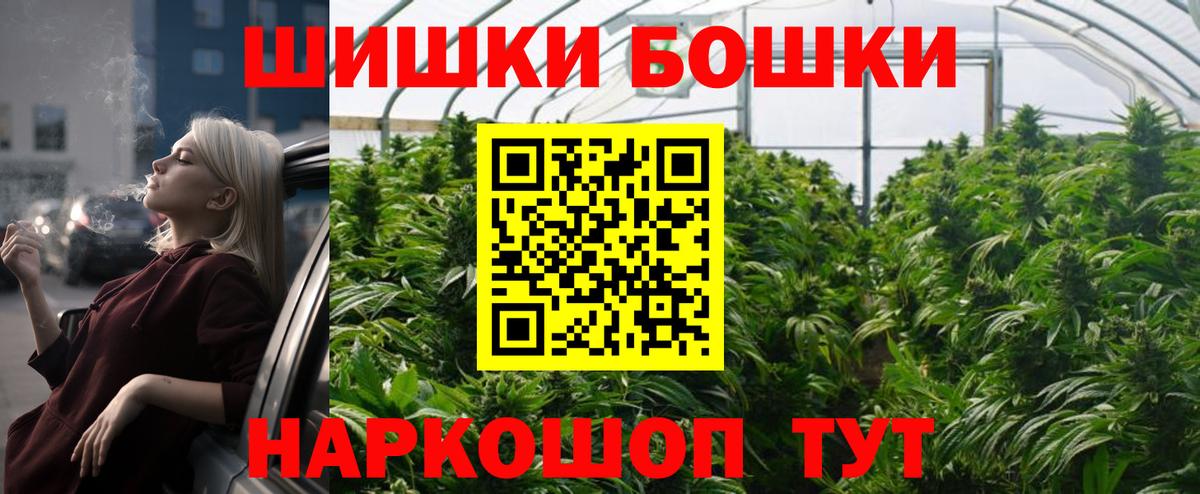 Бошки Шишки план Карачаевск
